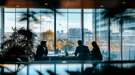 Выбор формы собственности (SRL или ИП) для бизнеса в Молдове